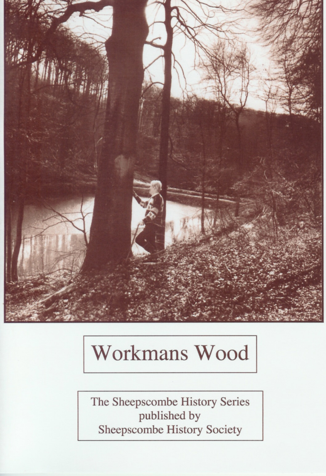 Workmans Wood book cover
